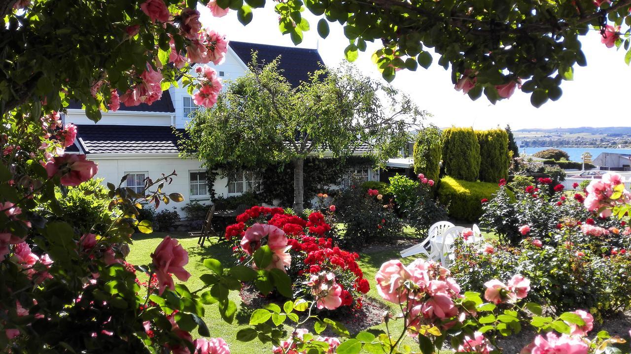 Phoenix Thermal Resort - Taupo Eksteriør bilde