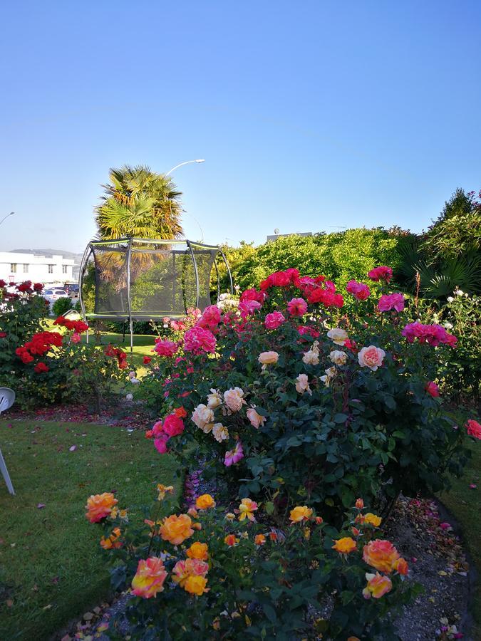 Phoenix Thermal Resort - Taupo Eksteriør bilde