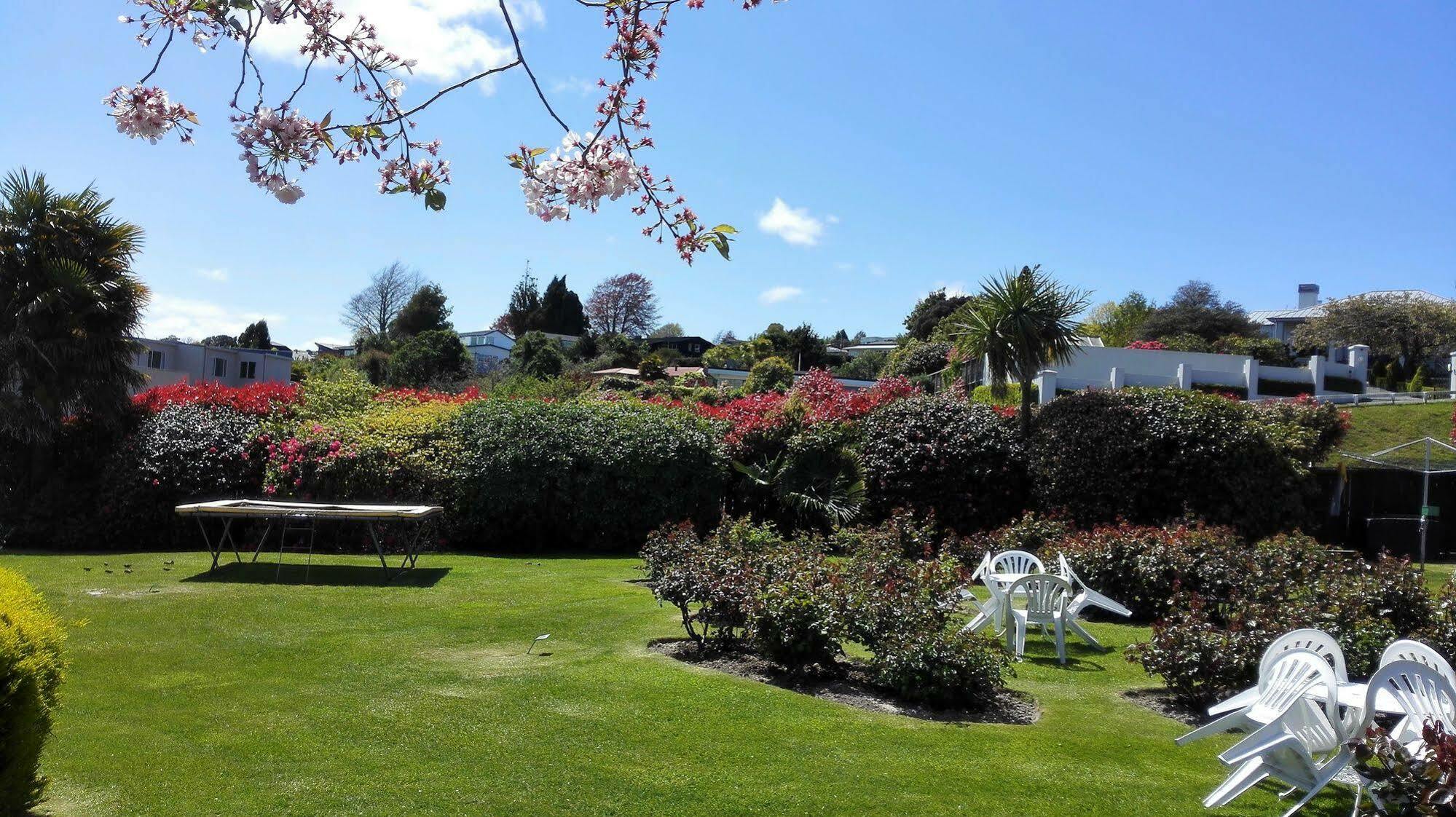 Phoenix Thermal Resort - Taupo Eksteriør bilde